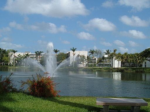 Learn Englsih: University of Miami Lake Osceola