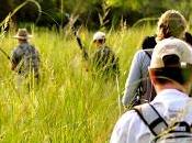 Trekking World: Countries Continents Days