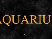 Aquarius Rising Monthly Astrological Forecast January 2013