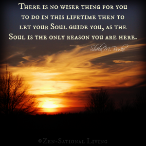 soul guide