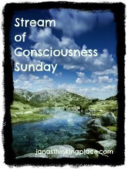 Jana's Thinking Place is the Host of Stream of Consciousness Sunday