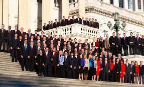 Newly elected 113th Congress