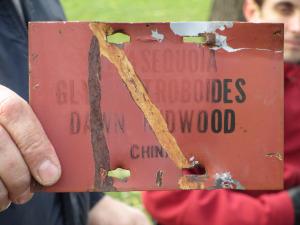 Old tree labels were worn and damaged. 