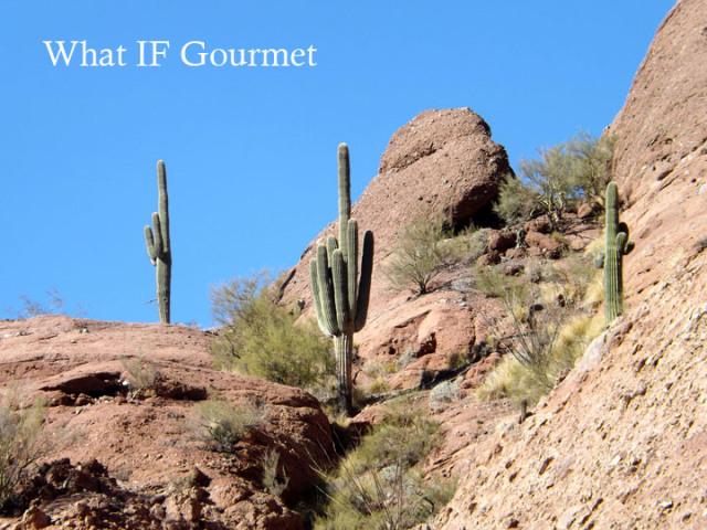 Saguaro cactus on Camelback Mountain, Phoenix, AZ.