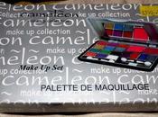 Cameleon Palette Maquillage Should Invest Into Local Makeup Palettes?