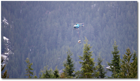 Heli logging