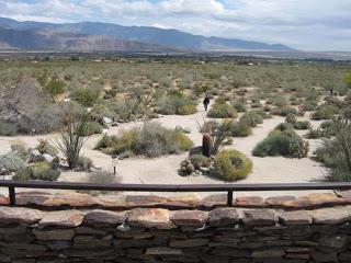 ANZA BORREGO STATE PARK, California:  Desert Wildlife and More