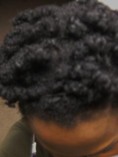 Guest Blogger: Afro Vegan Chick – Hair Journey