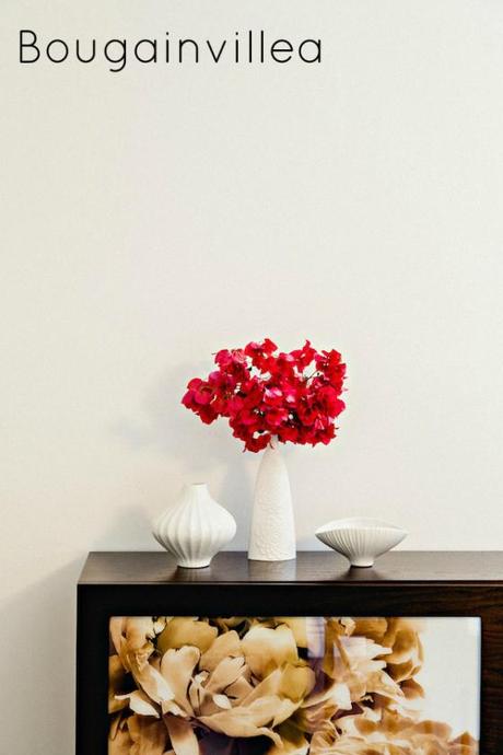 NookAndSea-Style-At-Home-Glitter-Guide-Jennifer-McGarigle-White-Vase-Bouganvilla-Flowers-Red-Bright-Bold-Colorful