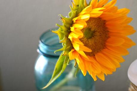Nook&Sea-Blue-Mason-Jar-Antique-Yellow-Sunflower