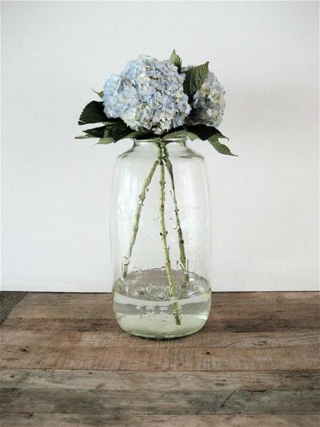 NookAndSea-Mason-Jar-Clear-Hydrangea-Flower-Bloom-Blue