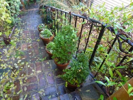 plant pots line a stairway