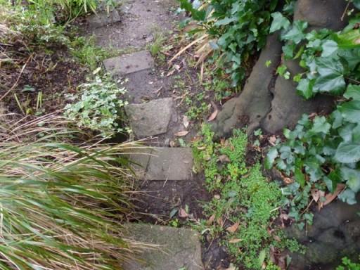 stepping stones on pathway