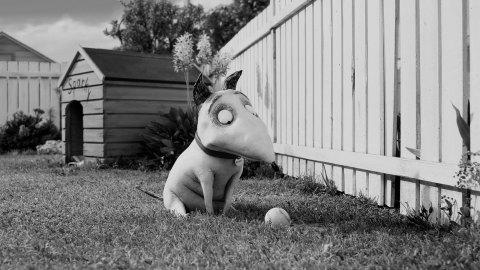 Frankenweenie (2012)