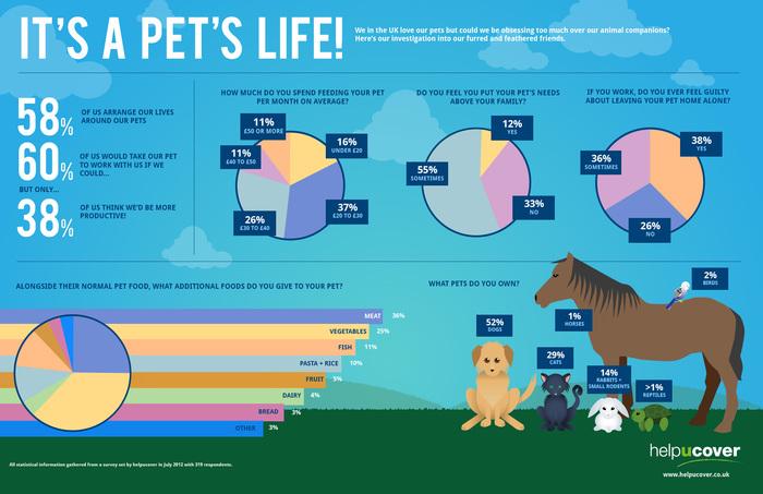 Pets Infographic