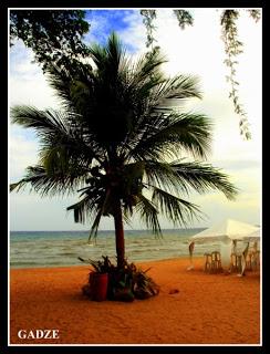 Serene Laiya of San Juan, Batangas