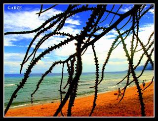 Serene Laiya of San Juan, Batangas