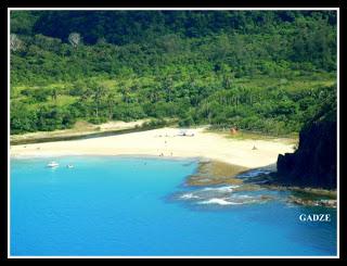 Captivating Baler, Aurora