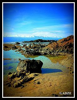 Captivating Baler, Aurora