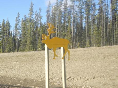 Caribou Crossing - Canadian Road Signs Photo 2