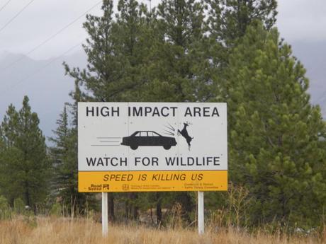 Watch out for wildlife - Canadian Road Signs Photo 2