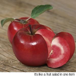 apple1111