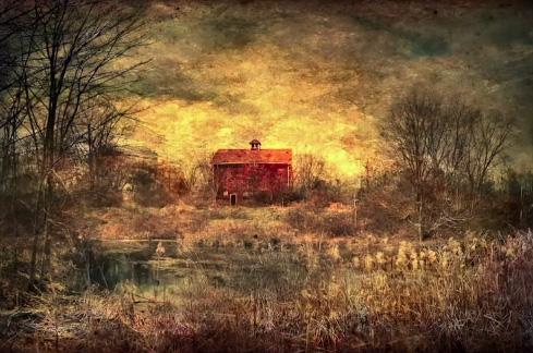 © Dan Burkholder