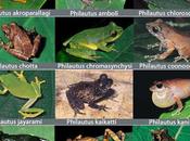 Western Ghats Biodiversity Expo from Friday