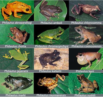 Western Ghats Biodiversity expo from Friday