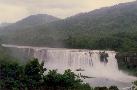 Leopard tales scaring tourists away from Athirappilly