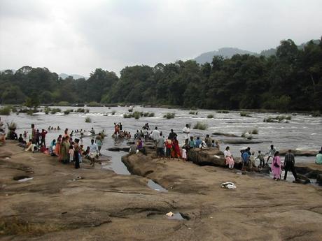 Leopard tales scaring tourists away from Athirappilly
