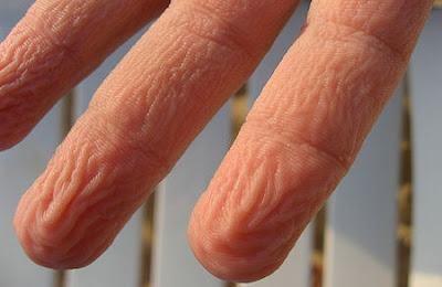 Science Puts Wrinkled Fingers To The Test