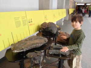 Examining rocks at the Ontario Science Centre