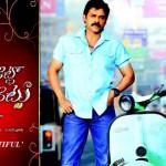 Seethamma-Vakitlo-Sirimalle-Chettu-Review-latest-pics-recent-photos-images-gallery