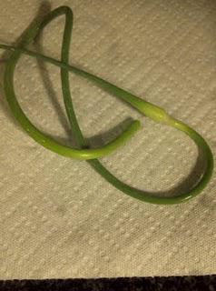 Featured Vegetable: Garlic Scapes