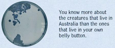 The Belly Button Biodiversity Project