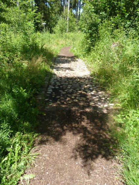barefoot park_rock path