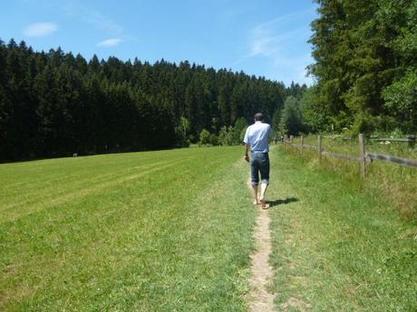 barefoot park_path