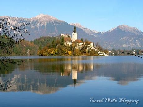 Night's 10 in Bled