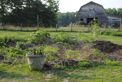 Country Living