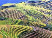 Amazing Longsheng Rice Terraces