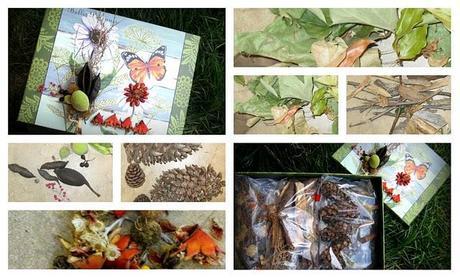 Nature Walk {No TV Activity 2}