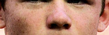 Scientist Classifies 14 Types Of Nose