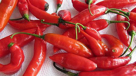 What Is The Hottest Pepper In The World?