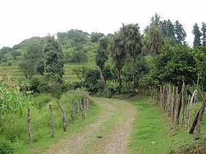 Batumi (Georgia), country road