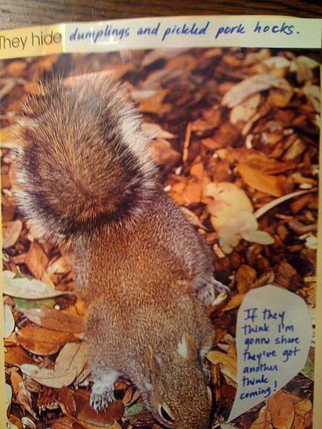 The Perversions of Squirrels: A Children's Story