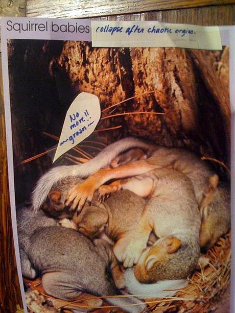 The Perversions of Squirrels: A Children's Story