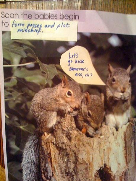 The Perversions of Squirrels: A Children's Story