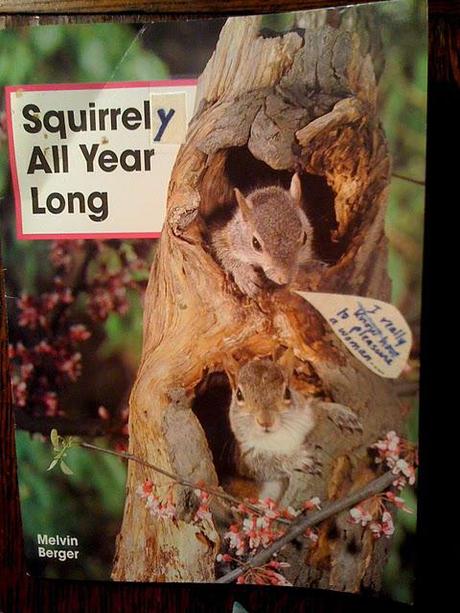 The Perversions of Squirrels: A Children's Story