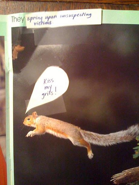 The Perversions of Squirrels: A Children's Story